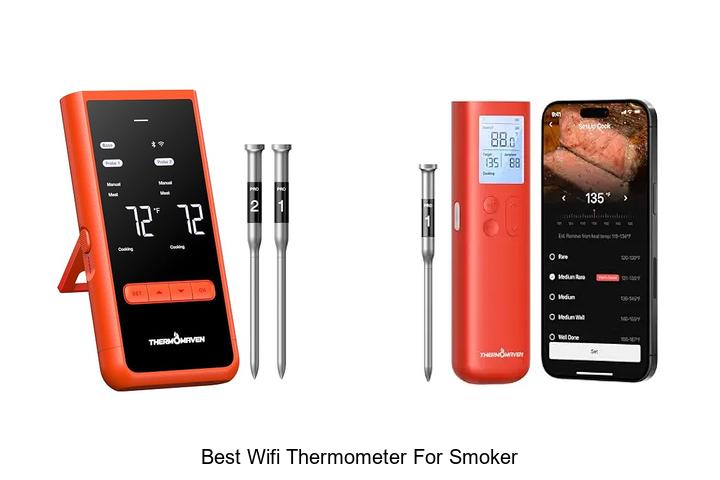Best Wifi Thermometer For Smoker: Grill Like A Pro Now!