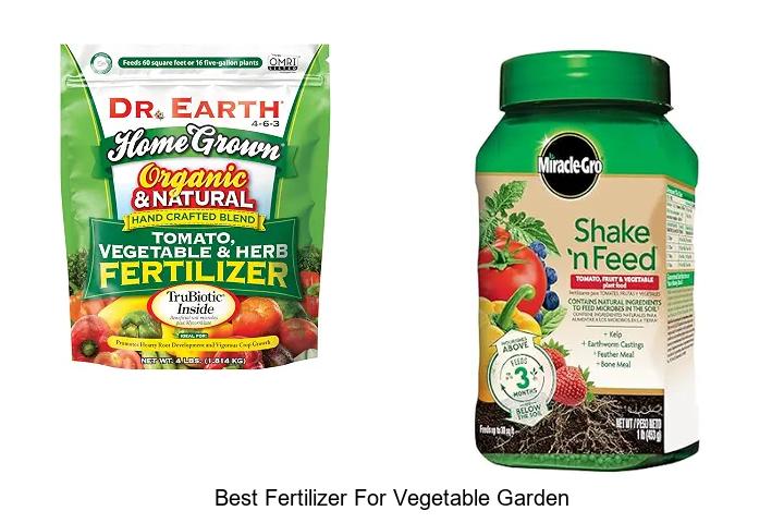 Best Fertilizer for Vegetable Garden That Boosts Growth Fast