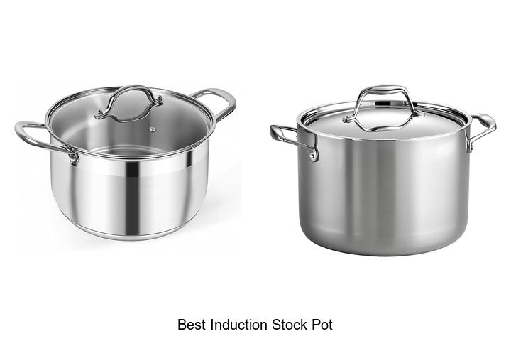 best induction stock pot
