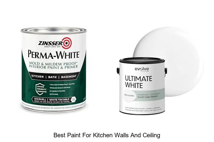 Best Paint For Kitchen Walls And Ceiling That Transforms!