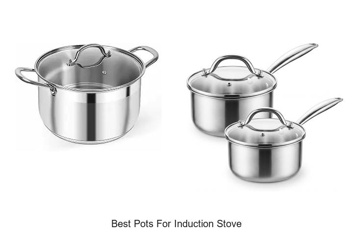 best pots for induction stove