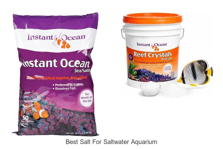 Best Salt for Saltwater Aquarium: Top Picks You Need Now