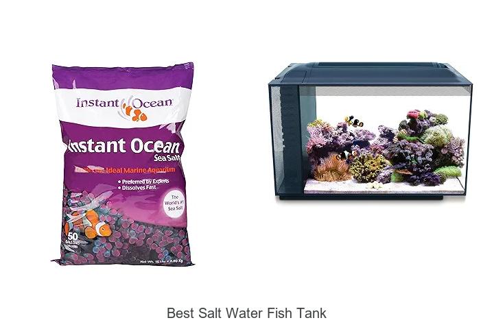 Best Salt Water Fish Tank Tips You Can’t Miss Today!