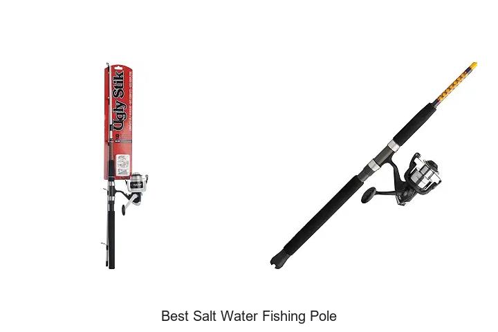 Best Salt Water Fishing Pole: Top Picks That Catch Big