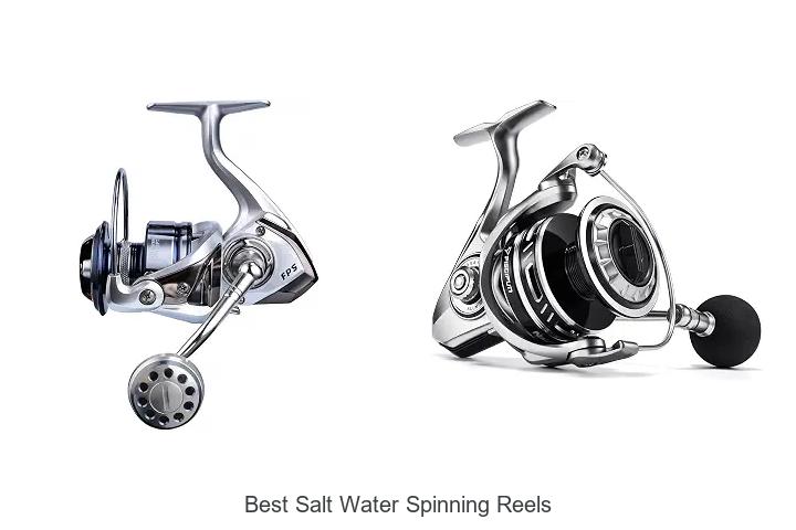 Best Salt Water Spinning Reels That Anglers Swear By