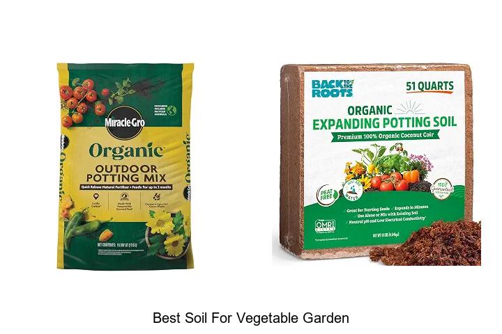 Best Soil For Vegetable Garden: Secrets To Boost Growth Now