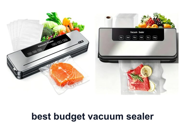 10 Best Budget Vacuum Sealer For Fresh Food